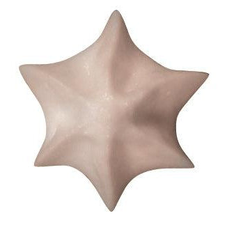 De Buyer Stainless Steel Star Nozzle (A6) - HAUSwares