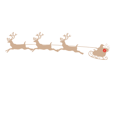Santa on sleigh